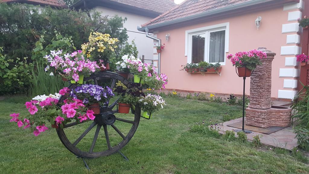 Villa Sunset Guest House Palić Extérieur photo